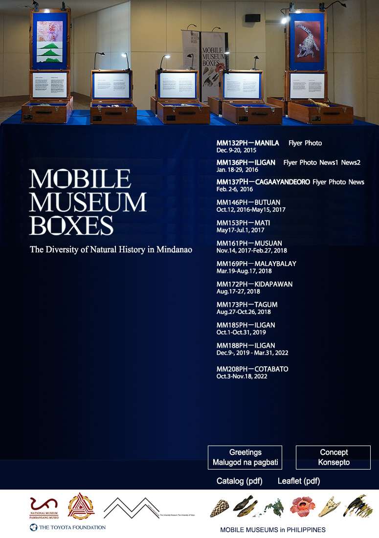 MOBILE MUSEUM BOXES